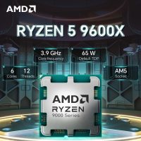 AMD Ryzen 5 9600X
